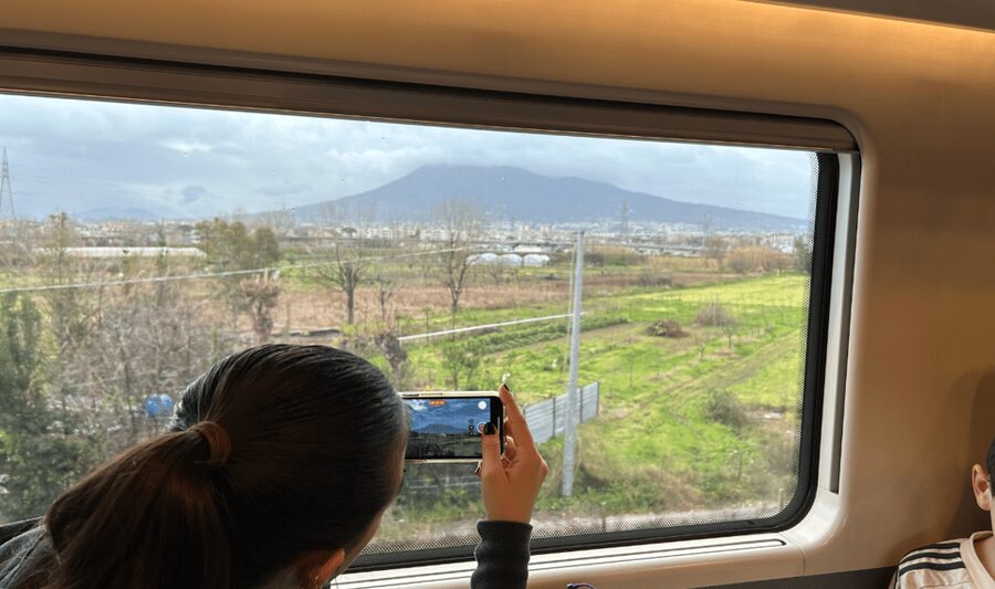 From Rome: Pompeii and Herculaneum Tour w/ High-speed Train - High-Speed Train and Rome-to-Naples Logistics that Actually Work