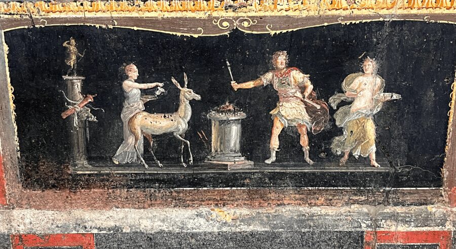 From Rome: Pompeii and Herculaneum Tour w/ High-speed Train - The 11-Hour Structure: When You’ll Feel Tired (and When You Won’t)