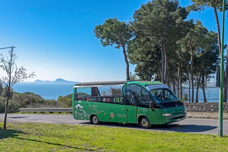 From Rome: Pompeii and Vesuvio Guided Day Trip with Lunch - Key highlights you’ll care about