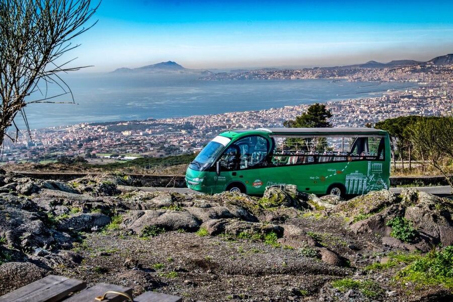 From Rome: Pompeii and Vesuvio Guided Day Trip with Lunch - Price and logistics: why $169.93 can still be a solid deal