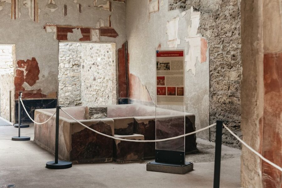 From Rome: Pompeii Day Trip with Optional Vesuvius and Lunch - Price and Value: What $88 Really Buys You