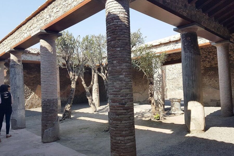 From Rome: Pompeii & Naples Small-Group Day Tour with Lunch - Pompeii With a 2-Hour Professional Guide: Markets, Baths, and Homes