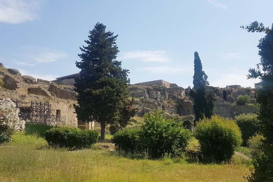 From Rome: Pompeii & Naples Small-Group Day Tour with Lunch - Should You Book This Pompeii and Naples Day Tour?