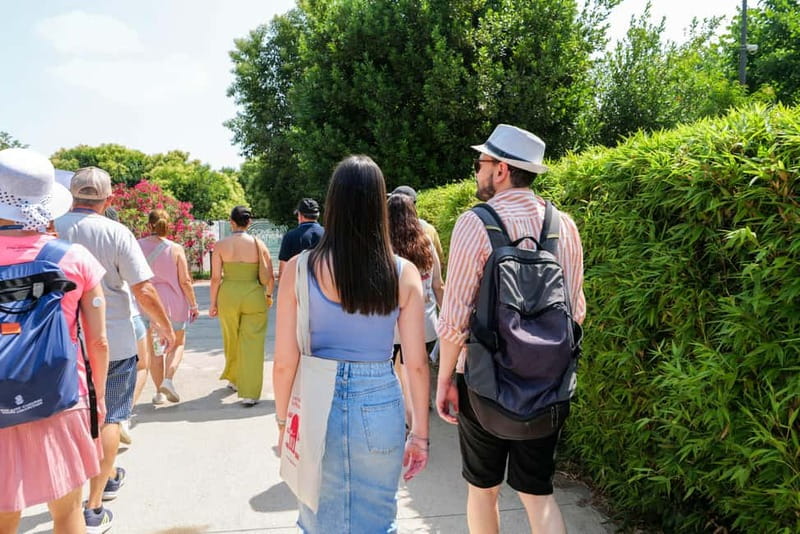 From Rome: Pompeii Ruins Tour with Expert Guide & Fast Train - Pompeii Ruins: The Guided Two-Hour Walk (and What It Actually Covers)