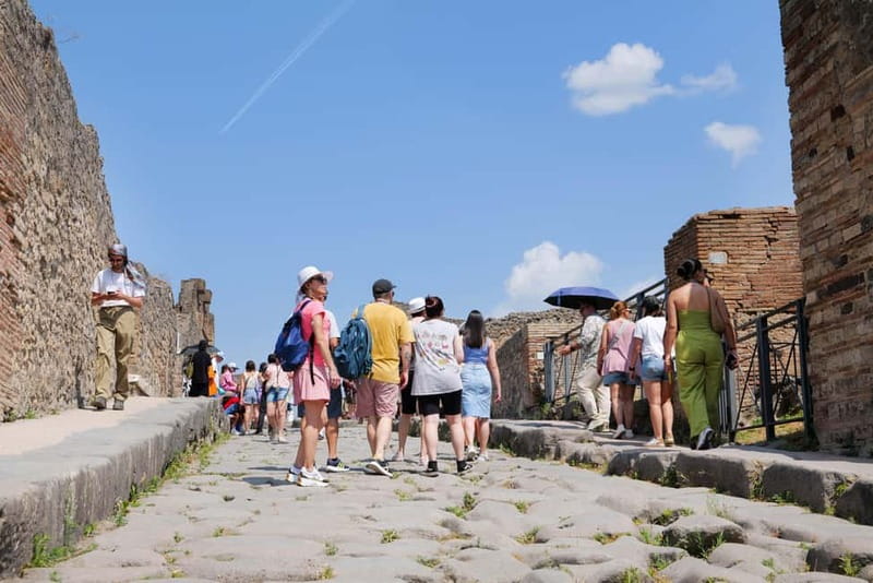 From Rome: Pompeii Ruins Tour with Expert Guide & Fast Train - Roma Termini: Meeting Up and Getting Your Day Started