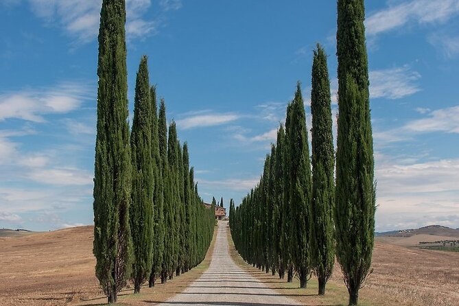From Rome: Private Day-Tour of Tuscany - Key Highlights Worth Marking