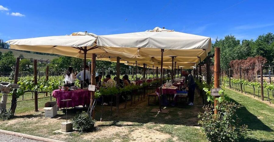 From Rome: Siena and S. Gimignano, Tuscany Wine One Day Tour - From Rome to Tuscany in a de luxe minivan that actually helps