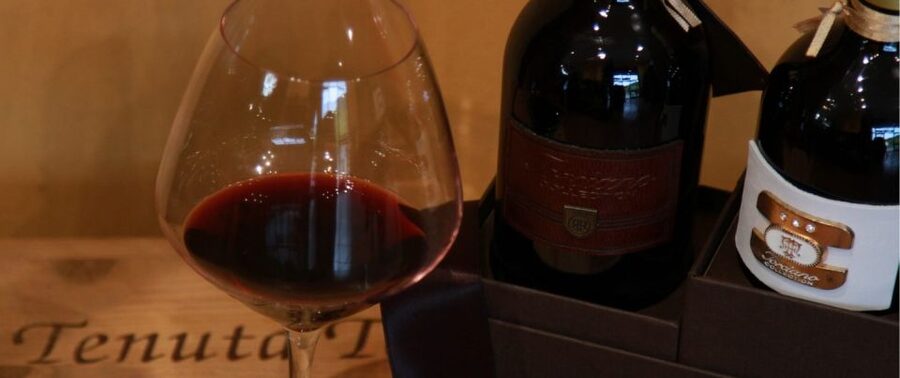 From Rome: Siena and S. Gimignano, Tuscany Wine One Day Tour - Tour guide and group size: where the quality really shows