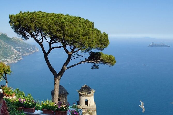 Full-Day Private Tour of Pompeii and Amalfi Coast from Rome - The Positano lunch stop: coastal views and real time to slow down