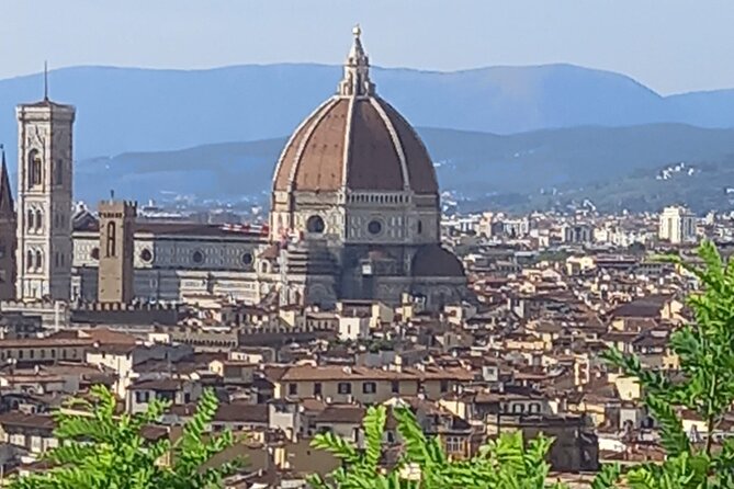 Full Day Tour in Pisa and Florence - Florence walking tour: where the Renaissance gets real fast