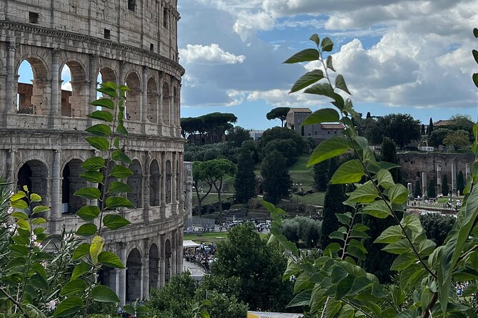 Guided tour of the Colosseum (semi-private) - Entering the Colosseum: small group flow and real-world pacing