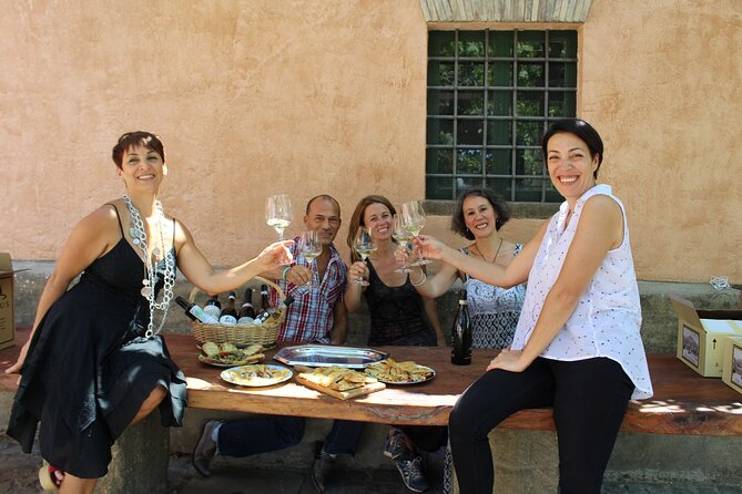 Guided Wine Tasting Experience in a Roman Vineyard - When the Vines Look Their Best: Seasonal Expectations