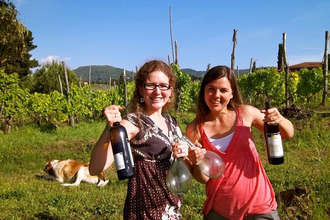 Guided Wine Tasting Experience in a Roman Vineyard - The Frascati Tasting: Wines, Snacks, Salumi, and Coffee