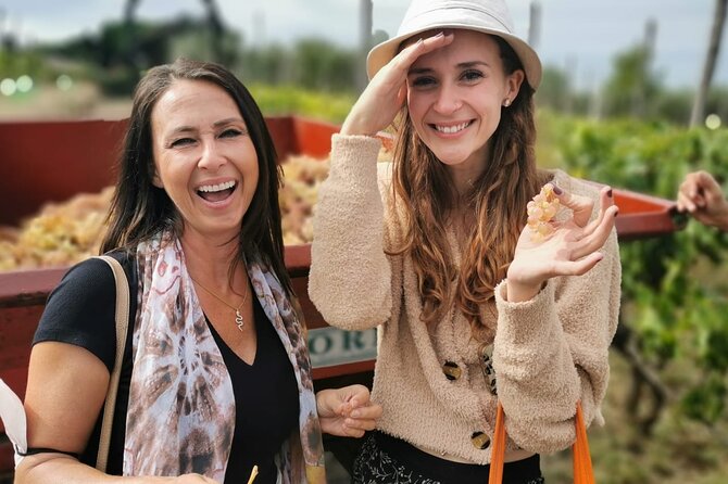 Half-Day Minardi Wine and Food Tour in Frascati - Price and logistics: value at $94.92, plus the train ticket you’ll buy