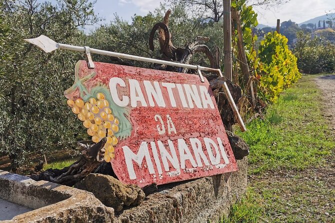 Half-Day Minardi Wine and Food Tour in Frascati - FAQ
