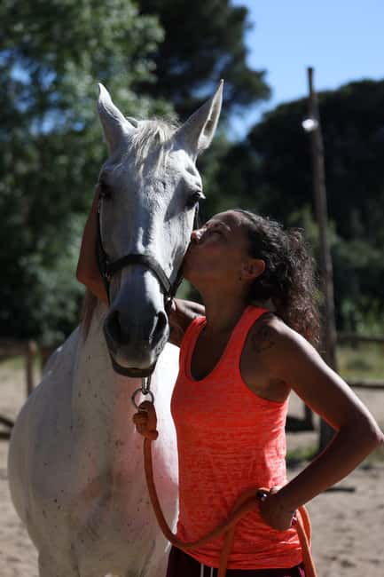 Horse Sanctuary in Rome - Key Things I’d Prioritize