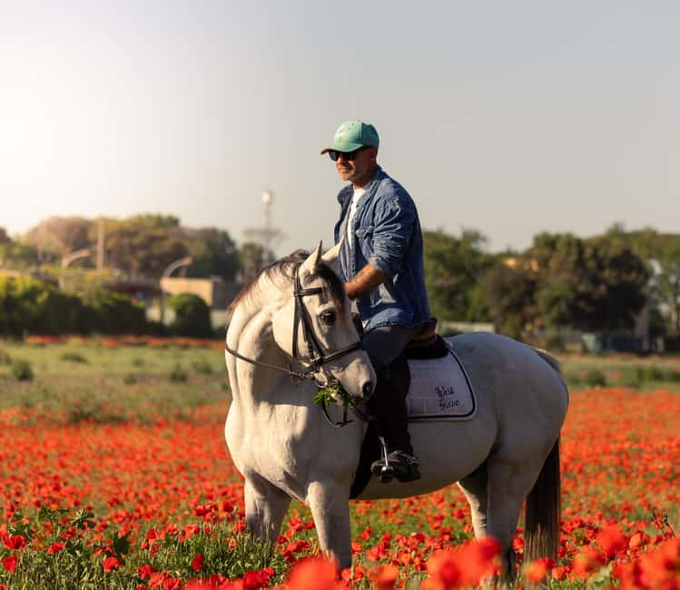 Horse Sanctuary in Rome - Arriving: Coffee, Croissant, and a Ranch That Feels Human