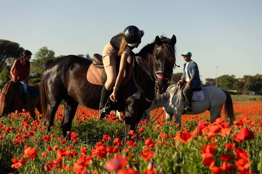 Horse Sanctuary in Rome - The Instructor-Led Riding Lesson That Works for Both New and Experienced Riders