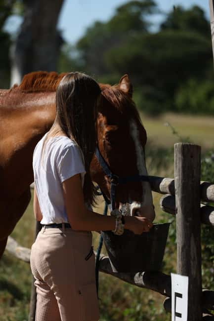 Horse Sanctuary in Rome - The Ride: Pinewood Countryside, Ocean Air, and Roman-Era Ruins
