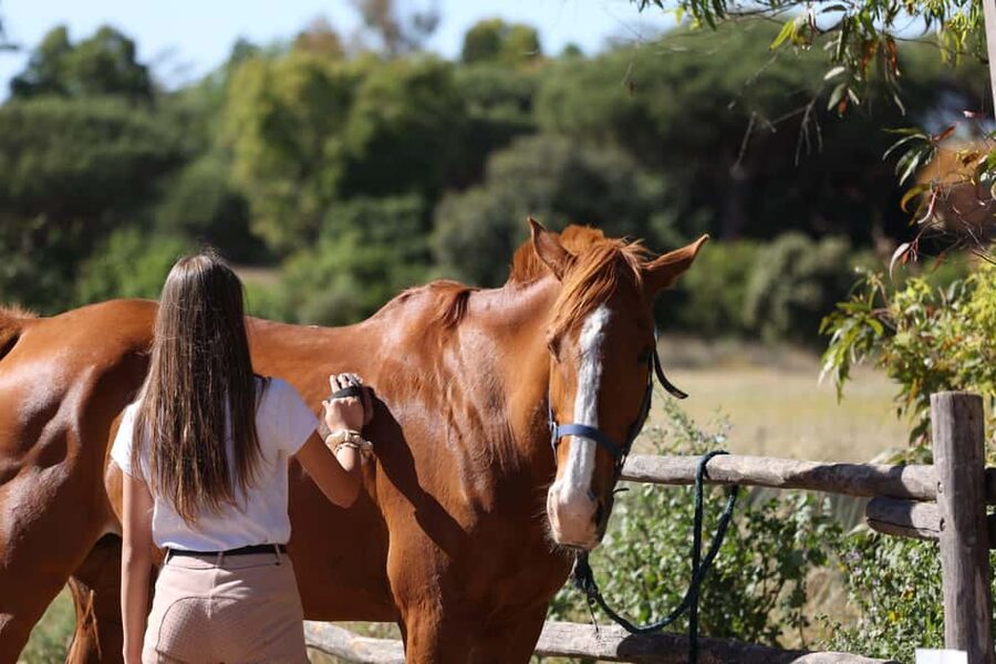 Horse Sanctuary in Rome - Sanctuary Time That Feels Like More Than a Stop
