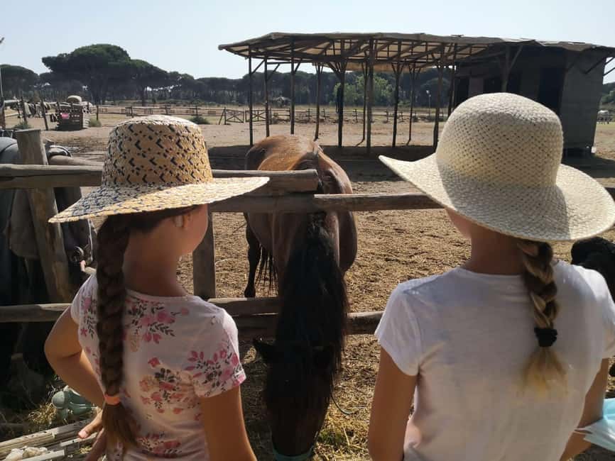 Horse Sanctuary in Rome - Who This Horse Sanctuary Ride Is For