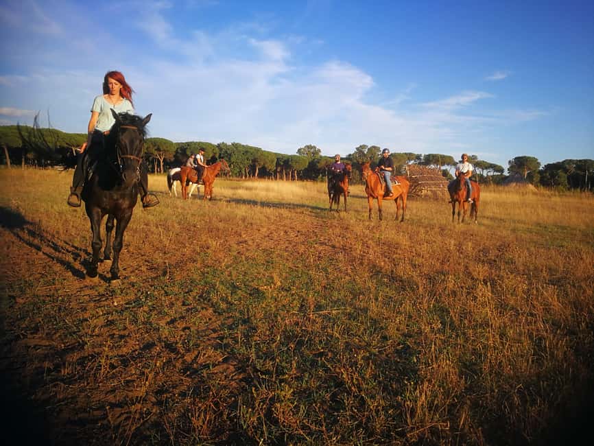 Horse Sanctuary in Rome - Practical Tips That Make the Day Easier