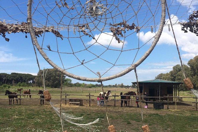 Horse Sanctuary & Trail Ride in Ostia Antica - How the group size shapes your experience