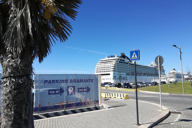 Luxury Private Transfer Rome from /to Civitavecchia Port - Choosing the right vehicle: sedan vs minivan and luggage reality