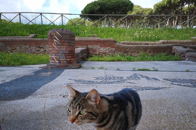 Ostia Antica Archaeological Park with Italian Gelato - Starting point, timing, and how much walking is real