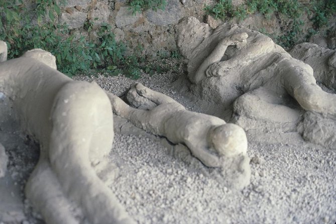 Pompeii and Mount Vesuvius Day Trip from Rome with Pizza Lunch - Ercolano lunch option: pizza with Bay of Naples views
