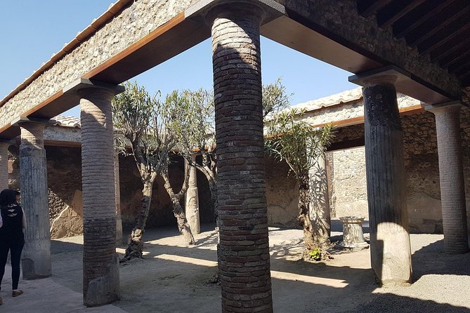 Pompeii and Naples from Rome: Small Group Day Tour with Lunch - What to Pack and How to Get the Most Out of the Day