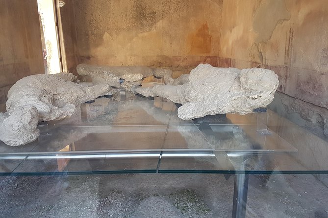 Pompeii and Naples from Rome: Small Group Day Tour with Lunch - Should You Book This Rome-to-Pompeii-and-Naples Tour?