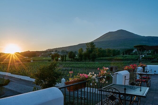 Pompeii and Naples from Rome: Small Group Day Tour with Lunch - The Organic Farm Lunch and Wine Tasting on Vesuvius Country