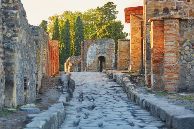 Pompeii Express Day Trip: High-Speed Train from Rome - Why a Rome to Naples high-speed train works so well