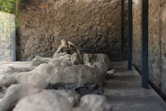 Pompeii Express Day Trip: High-Speed Train from Rome - Pompeii Archaeological Park: 5 hours to explore your way