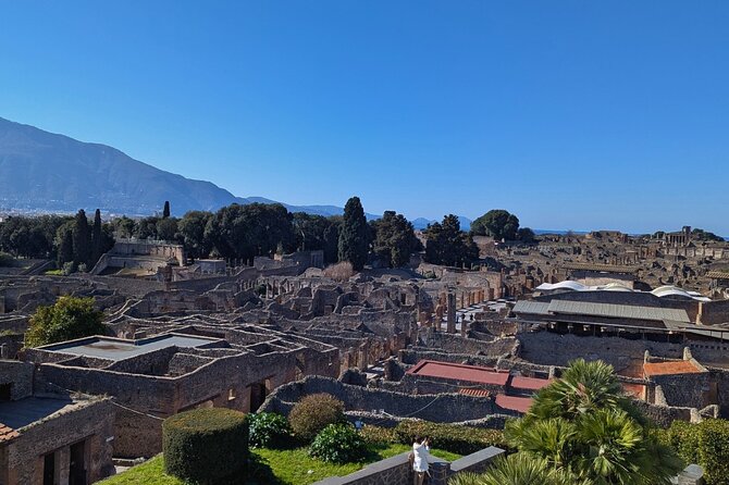 Pompeii Express Day Trip: High-Speed Train from Rome - Skip-the-line entry: what it really buys you