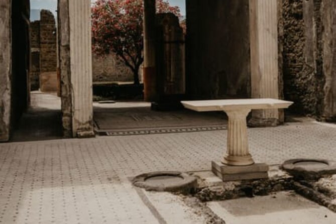 Pompeii Guided Tour with Train Included from Rome - Naples Centrale: Voucher Swap and Human Help Inside the Station