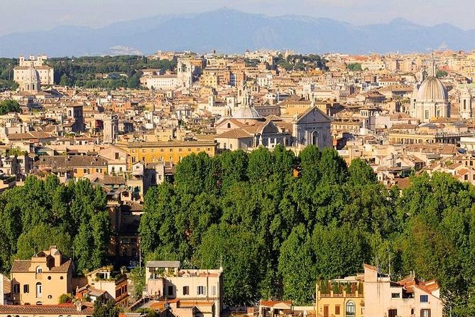 Private Airport Pick-Up + Rome Tour + Transfer to Civitavecchia - Private Vehicle Comfort and the Real Guide Experience