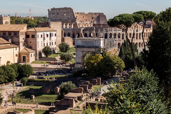Private Colosseum, Roman Forum, and Palatine Hill Guided Tour - What the art-history guide actually adds (and what you should request)
