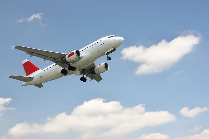 Private Departure Transfer: Hotel to Rome Fiumicino Airport - Key things I’d plan around