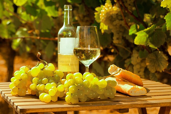Private Double Wine Tasting Tour in Frascati - Exclusive - Key things to know before you go