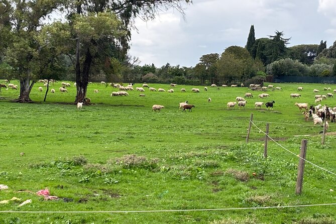 Private E-bike tour of Appian way, Aqueduct & catacombs with food - Meeting point, timing, and how the ride stays manageable