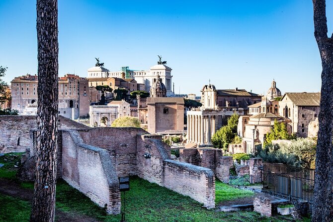 Private Guided Tour in the Colosseum and Ancient Rome - Timing, Meeting Point, and Where You Finish