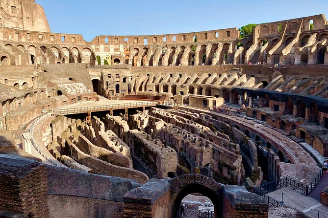 Private Guided Tour of Colosseum Underground OR Arena and Forum - Why the Colosseum Underground changes everything