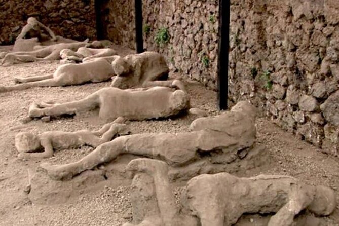Private Guided Tour to Pompeii and Positano from Rome - Private transport details that affect your comfort all day