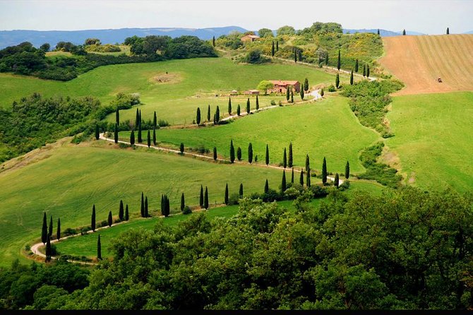 Private Siena and San Gimignano Tour with Wine Tasting From Rome - The guide makes a difference: why people highlight Luca and Manni