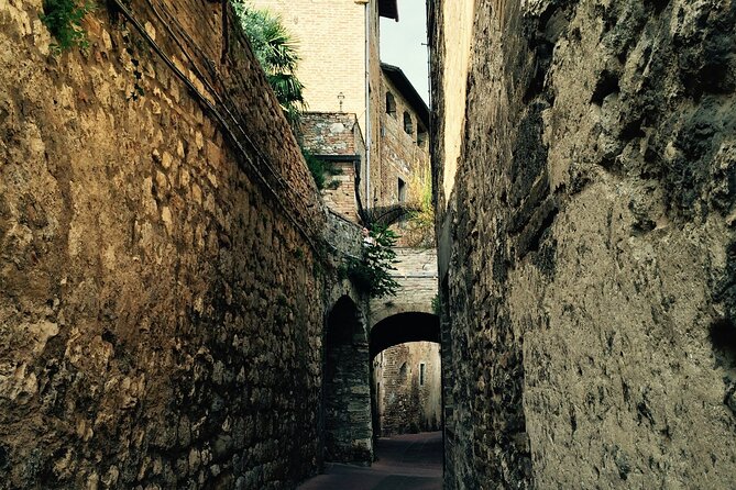 Private Siena and San Gimignano Tour with Wine Tasting From Rome - Siena stroll time: Piazza del Campo, the Duomo area, and Palio energy