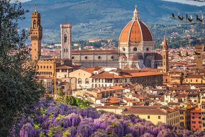 Private Tour from Rome to Pisa and Florence with Tower of Pisa - Driver + private assistant: the real VIP advantage