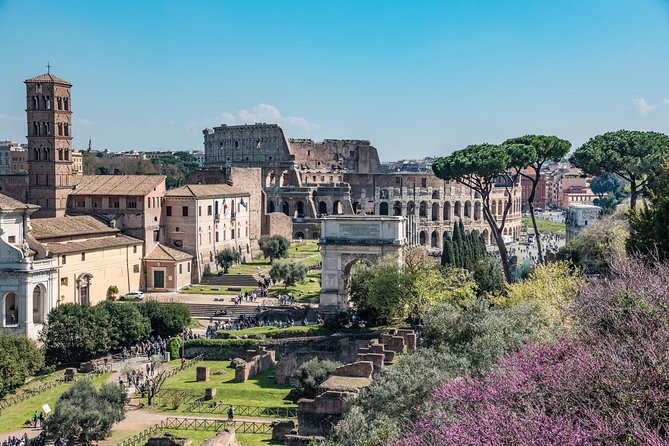 Private Tour of the Colosseum with Roman Forum & Palatine Hill - A 3-Hour Private Plan That Keeps the Colosseum From Feeling Like a Blur