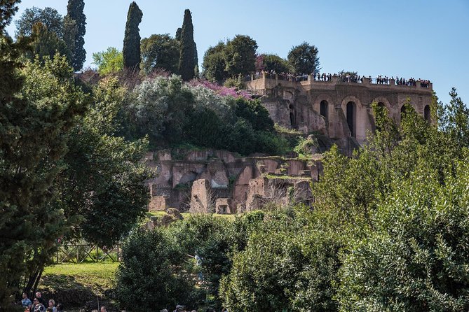 Private Tour of the Colosseum with Roman Forum & Palatine Hill - Who This Private Tour Is Best For